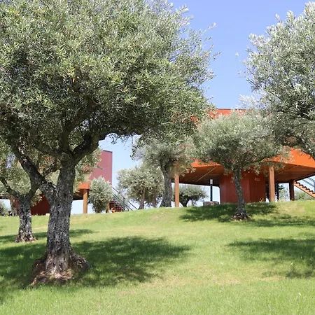 Villa Coa Honeycomb à Pinhel Extérieur photo